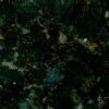 Butterfly Green