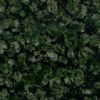 Baltic Green