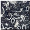 granite color