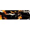 Black and Glod