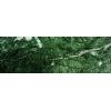 Verona Green