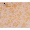 teflon resin