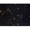 black galaxy