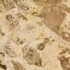 BRECCIA
