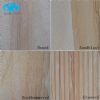 Tiger Skin Sandstone