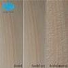 Yellow Wood Vein Sandstone