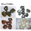 River Pebble