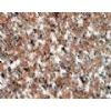 granite
