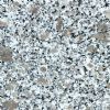pearl Grain