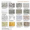 slab and tile