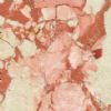 Pink Arctic Marble - Tascilar