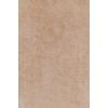 Wall and floor tile