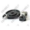 Timing pulley