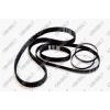 Neoprene timing belt/rubber timing belt