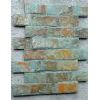 mushroom culture stone