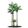 emulation palm tree