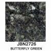 BUTTERFLY GREEN Granite Slab & Natural Granite