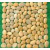 pebble stone tiles—-Yellow color