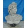 Marble Bust of Apollo