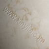 American Golden Flower-the newest product
