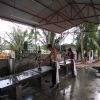 basalt tile (Hainan Black)