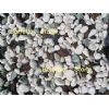 Pebble Stone and Cobble Stone