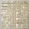 freshwater shell mosaic