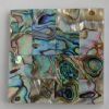 sea shell mosaic tile