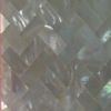 sea shell mosaic