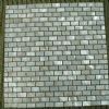 shell mosaic tile