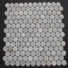 freshwater shell  mosaic