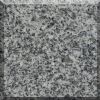 Granite tile G603