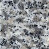 G623,G623 Granite,Grey Granite,China Granite