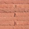 Sand Stone Buch