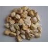 Natural Pebble Stone| Landscaping Cobblestone|Yellow Gravel
