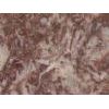 Red marble