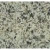 FICOG1