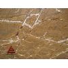 Hylaeion Yellow
