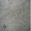 Carrara white-b