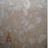 Butterfly beige-b