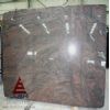Tropical brown