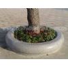 Tree Pit Surrounds