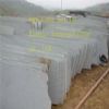 green sandstone flag slab