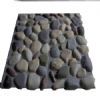 Veneer Stone20090717
