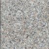 Granite Tiles G636