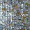 Freshwater shell mosaic tile