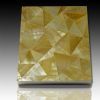 yellow shell mosaic