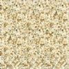 Golden sesame granite