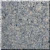New product Seine Pearl
