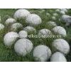 granite balls, marble balls, stone balls